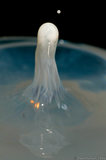Milk Droplet Splash In Water A8V9025